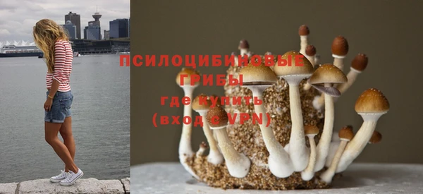 не бодяженный Белокуриха