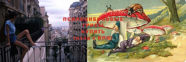 не бодяженный Белокуриха