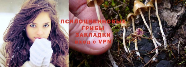не бодяженный Белокуриха